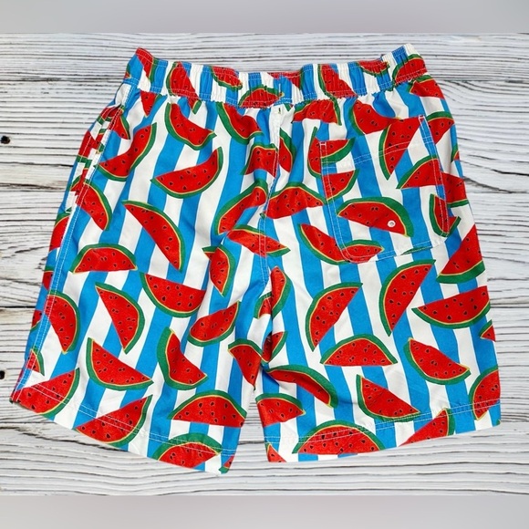 Hanna Andersson Watermelon Print  Men’s Swim Trunks Size M - Picture 2 of 4